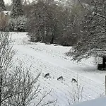Lägenhet Anika *