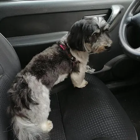 Lejlighed Anika Moravice