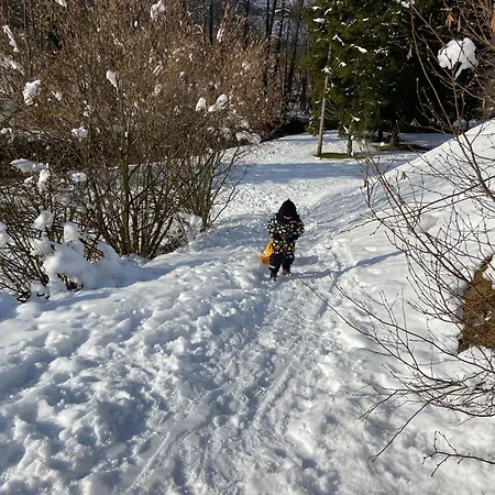 Lejlighed Anika Moravice