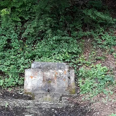 Anika Lejlighed Moravice