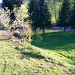 Apartmán Anika *