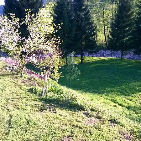Appartement Anika *