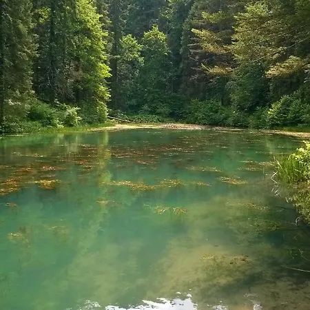 Anika Appartement Moravice